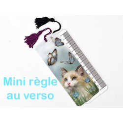 mini règle au verso