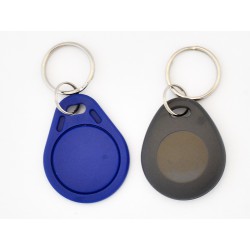 Plastic RFID key ring
